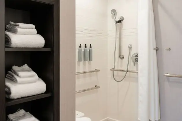 Stüdyo, 1 En Büyük (King) Boy Yatak ve Çekyat (Mobility Accessible, Roll-In Shower)