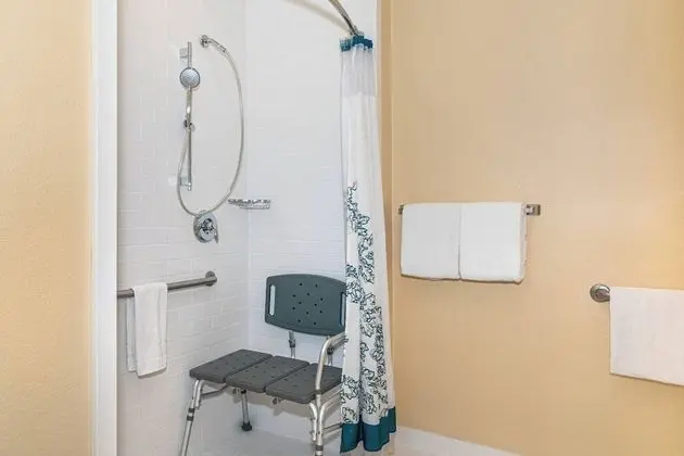 Stüdyo Süit, 1 En Büyük (King) Boy Yatak ve Çekyat (Mobility/Hearing Access, Transf Shwr)