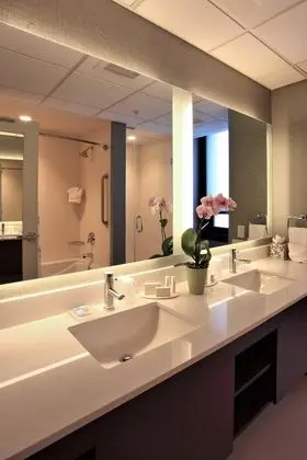 Çatı Katı Süiti (Penthouse), 1 En Büyük (King) Boy Yatak ve Çekyat