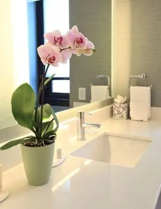 Çatı Katı Süiti (Penthouse), 1 En Büyük (King) Boy Yatak ve Çekyat