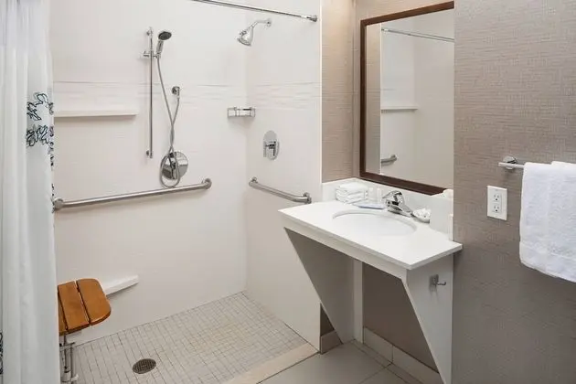 Stüdyo, 1 Büyük (Queen) Boy Yatak ve Çekyat (Mobility Accessible, Tub)