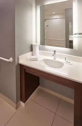 Süit, 1 Yatak Odası (Mobility Accessible, Roll-In Shower)