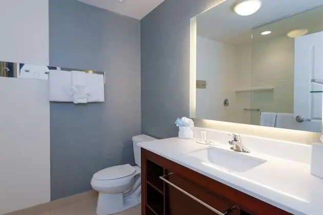 Stüdyo, 1 En Büyük (King) Boy Yatak ve Çekyat (Mobility/Hearing Accessible, Tub)