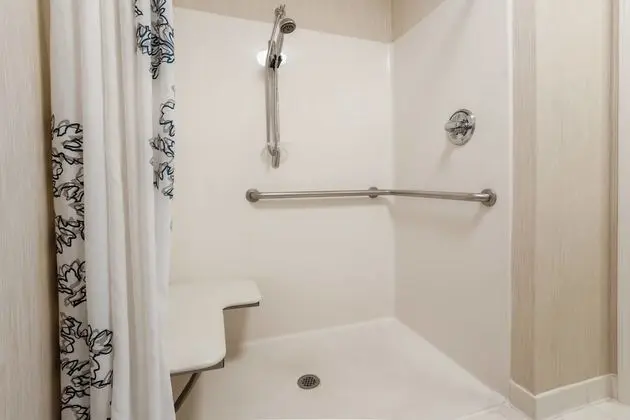 Stüdyo, 1 En Büyük (King) Boy Yatak ve Çekyat (Mobility Accessible, Roll-In Shower)