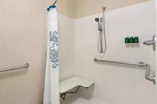 Stüdyo, 1 En Büyük (King) Boy Yatak ve Çekyat (Mobility Accessible, Roll-In Shower)
