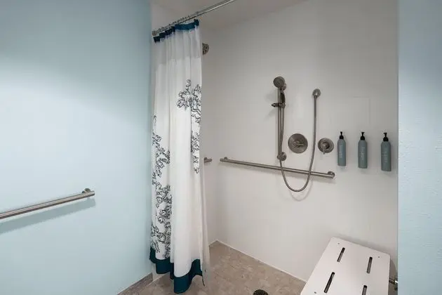 Süit, 1 Yatak Odası (Mobility/Hearing Access, Roll-In Shwr)