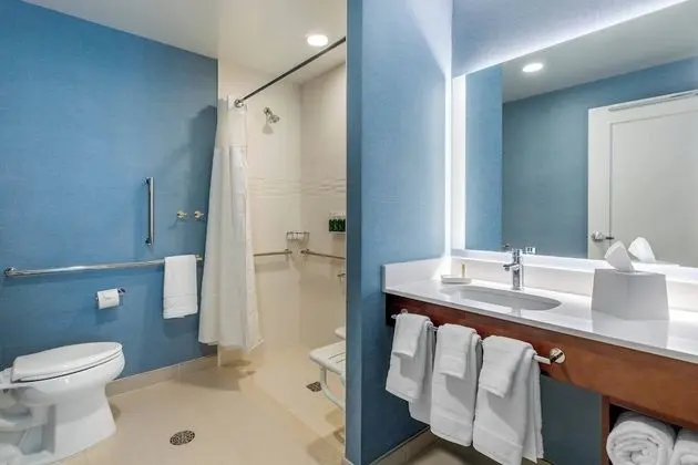 Stüdyo, 1 En Büyük (King) Boy Yatak ve Çekyat (Mobility/Hearing Access, Roll-In Shwr)
