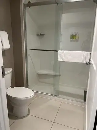 Deluxe Stüdyo Süit, 1 Büyük (Queen) Boy Yatak ve Çekyat, Şömine