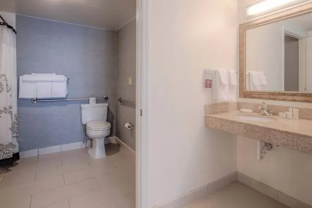 Süit, 1 Yatak Odası (Mobility Accessible, Tub)