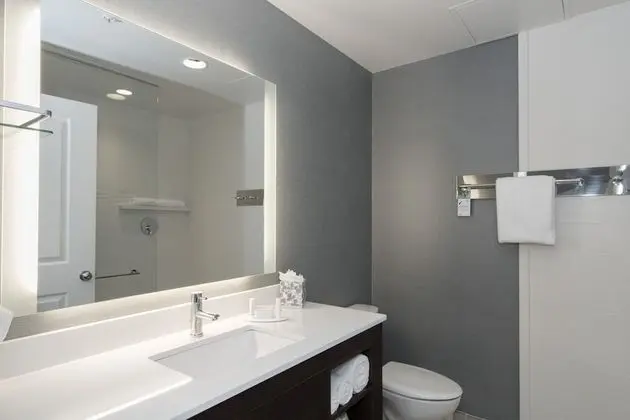 Stüdyo, 1 En Büyük (King) Boy Yatak ve Çekyat (Mobility Accessible, Roll-In Shower)