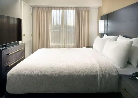 Deluxe Stüdyo, 1 En Büyük (King) Boy Yatak ve Çekyat (Studio)