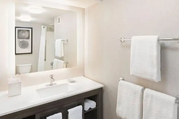 Stüdyo, 1 En Büyük (King) Boy Yatak ve Çekyat (Mobility/Hearing Accessible, Tub)