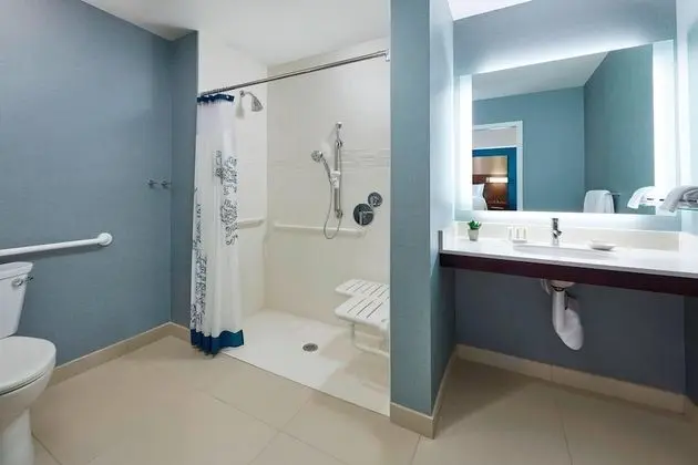 Süit, 1 Yatak Odası (Mobility Accessible, Roll-In Shower)