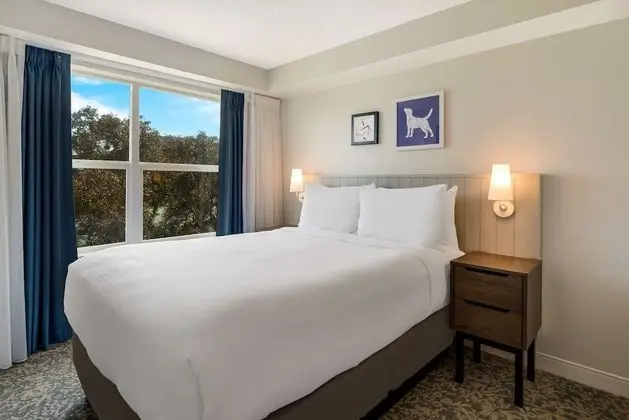 Süit, 1 Büyük (Queen) Boy Yatak ve Çekyat, Engellilere Uygun (Mobility Tub One Bedroom Bay View)