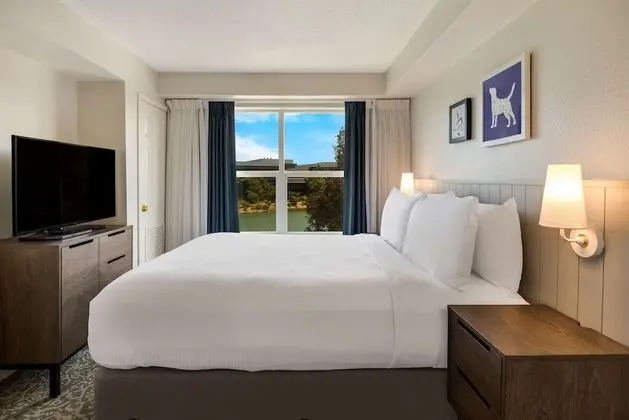 Süit, 1 Büyük (Queen) Boy Yatak ve Çekyat, Engellilere Uygun (Mobility Tub One Bedroom Bay View)