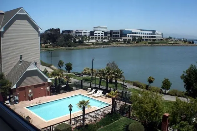 Süit, 1 Büyük (Queen) Boy Yatak ve Çekyat, Engellilere Uygun (Mobility Tub One Bedroom Bay View)