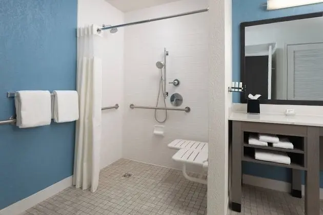 Stüdyo, 1 Büyük (Queen) Boy Yatak ve Çekyat (Mobility Accessible, Roll-In Shower)