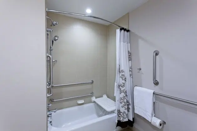 Stüdyo Süit, 1 En Büyük (King) Boy Yatak ve Çekyat (Mobility/Hearing Accessible, Tub)