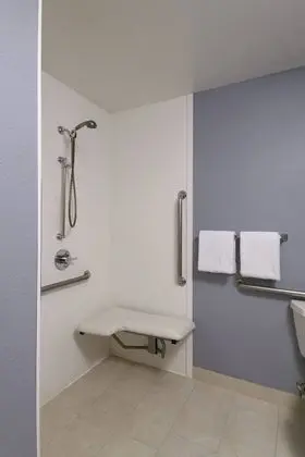 Süit, 1 Yatak Odası (Hearing Accessible)