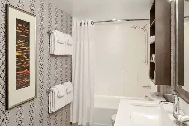 Çatı Katı Süiti (Penthouse), 1 Yatak Odası
