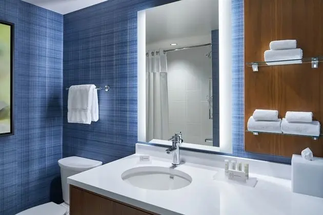 Stüdyo, 1 En Büyük (King) Boy Yatak ve Çekyat (Hearing Accessible)