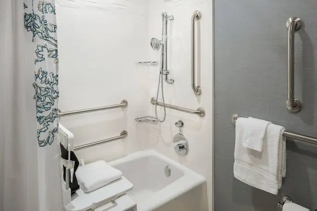 Stüdyo, 1 En Büyük (King) Boy Yatak ve Çekyat (Mobility Accessible, Tub)