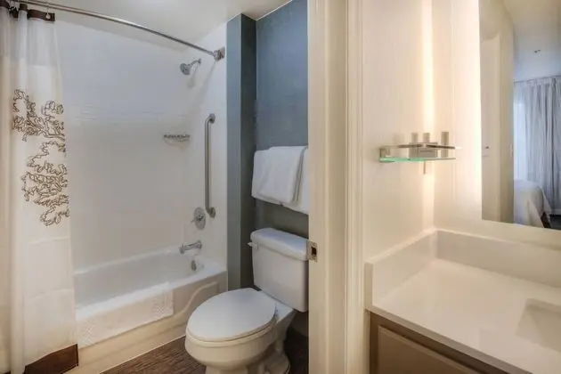 Stüdyo, 1 En Büyük (King) Boy Yatak ve Çekyat (Mobility/Hearing Accessible, Tub)