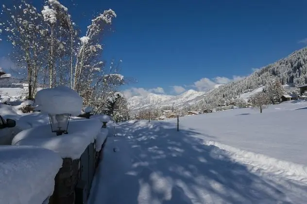 Superior Apart Daire, 1 Yatak Odası, Havuz Kullanımı, Dağ Manzaralı