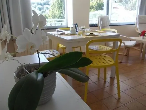 Stüdyo, Teras, Deniz Manzaralı