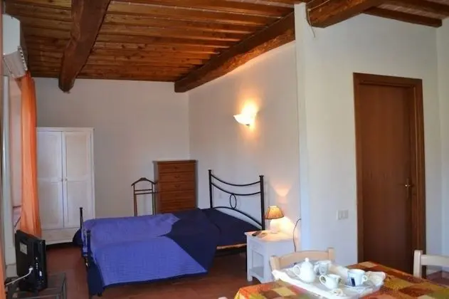 Traditional Stüdyo