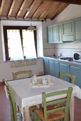 Traditional Stüdyo