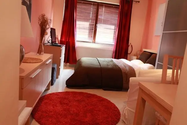 Comfort Stüdyo, 1 Büyük (Queen) Boy Yatak, Küçük Mutfak