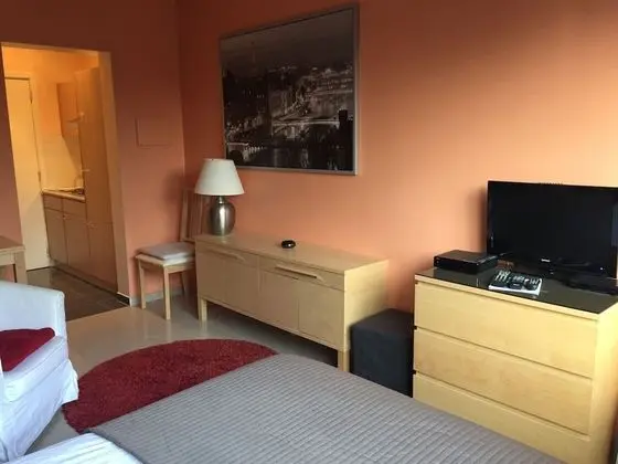 Comfort Stüdyo, 1 Büyük (Queen) Boy Yatak, Küçük Mutfak