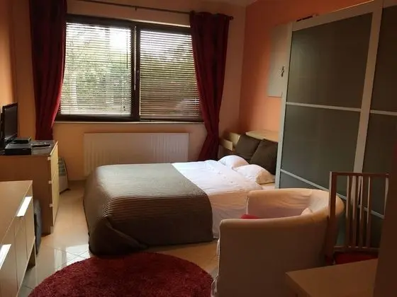 Comfort Stüdyo, 1 Büyük (Queen) Boy Yatak, Küçük Mutfak