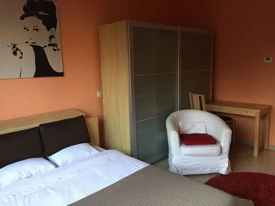 Premium Stüdyo Süit, 1 Büyük (Queen) Boy Yatak, Küçük Mutfak