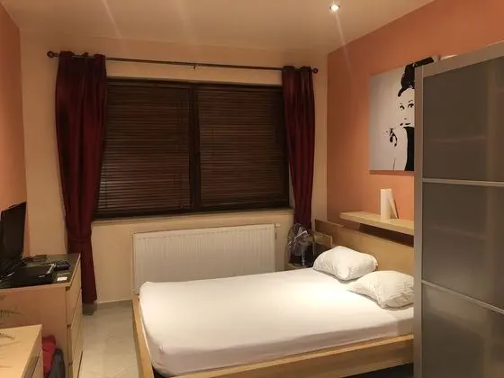 Premium Stüdyo Süit, 1 Büyük (Queen) Boy Yatak, Küçük Mutfak