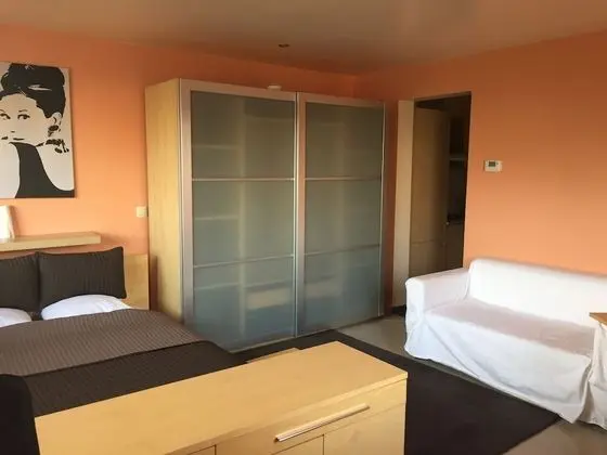 Premium Stüdyo Süit, 1 Büyük (Queen) Boy Yatak, Küçük Mutfak