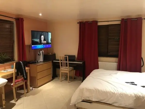 Premium Stüdyo Süit, 1 Büyük (Queen) Boy Yatak, Küçük Mutfak