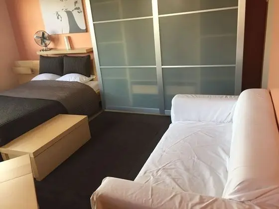 Premium Stüdyo Süit, 1 Büyük (Queen) Boy Yatak, Küçük Mutfak