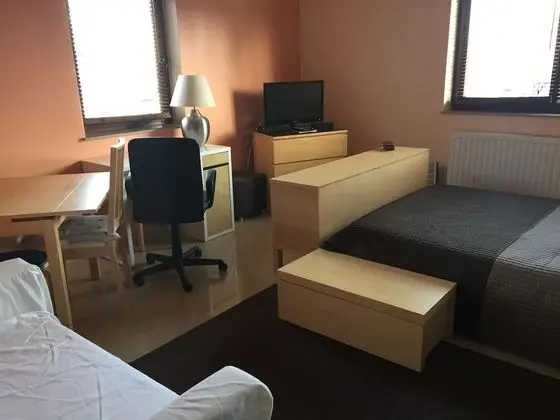 Premium Stüdyo Süit, 1 Büyük (Queen) Boy Yatak, Küçük Mutfak