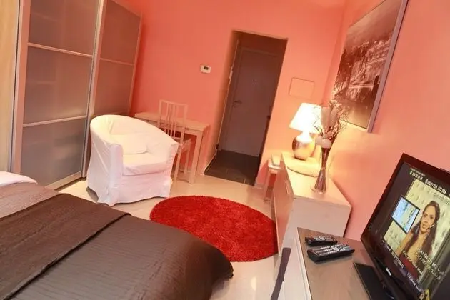 Premium Stüdyo Süit, 1 Büyük (Queen) Boy Yatak, Küçük Mutfak