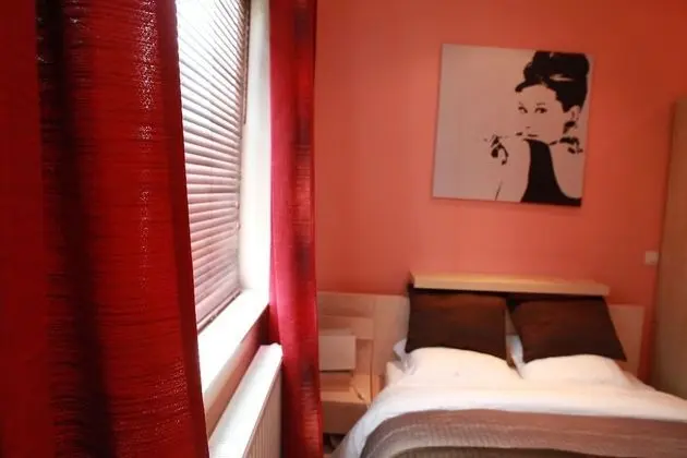 Premium Stüdyo Süit, 1 Büyük (Queen) Boy Yatak, Küçük Mutfak
