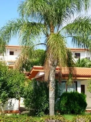 Standard Apart Daire, 1 Yatak Odası, Bahçe Manzaralı