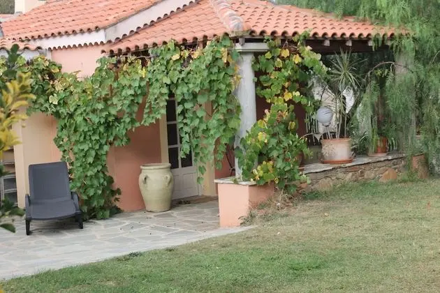 Comfort Stüdyo, Teras