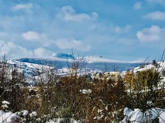 Daire, 3 Yatak Odası, Engellilere Uygun, Balkon