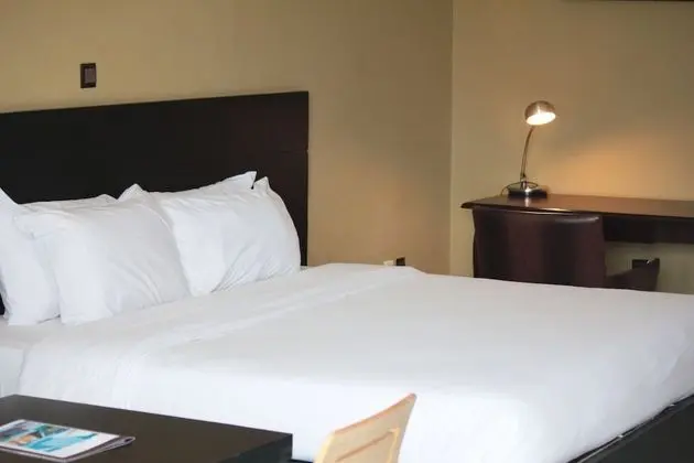 Standard Oda, 1 En Büyük (King) Boy Yatak, Engellilere Uygun