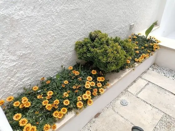 Apart Daire, 2 Yatak Odası, Veranda