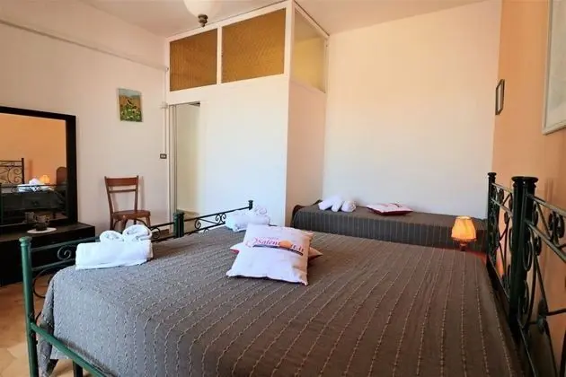 Comfort Ev (Zeus)