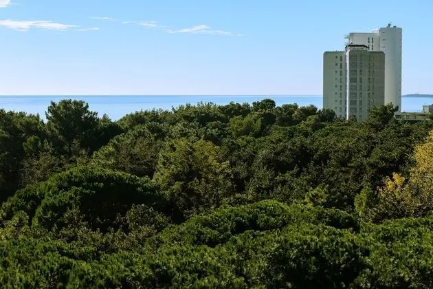 Apart Daire, 1 Yatak Odası, Balkon