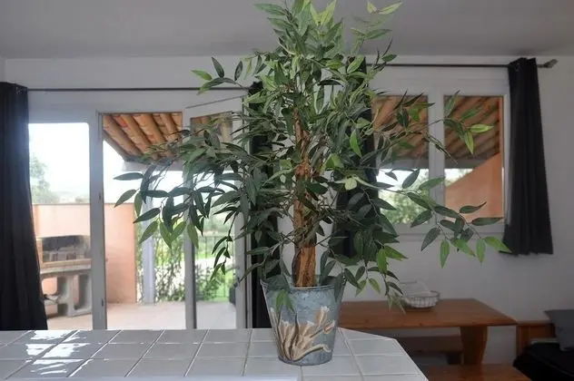 Villa, 1 Yatak Odası, Teras (Villa T2 - 4 personnes max)